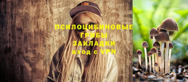 2c-b Абдулино
