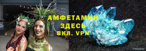 мет Алексин