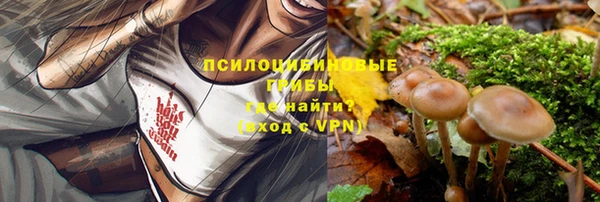 мет Алексин