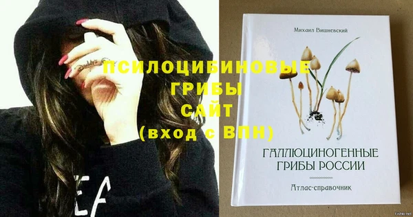 2c-b Абдулино