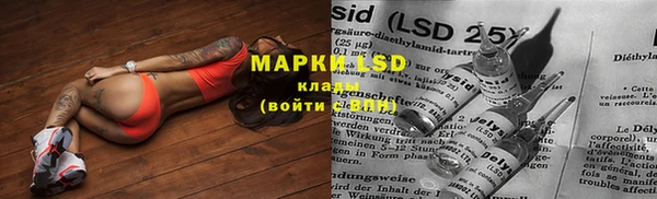 мяу мяу мука Алзамай