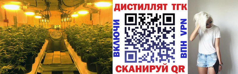 ТГК концентрат  Советский 