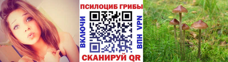 Галлюциногенные грибы Psilocybine cubensis  дарк нет официальный сайт  Советский 